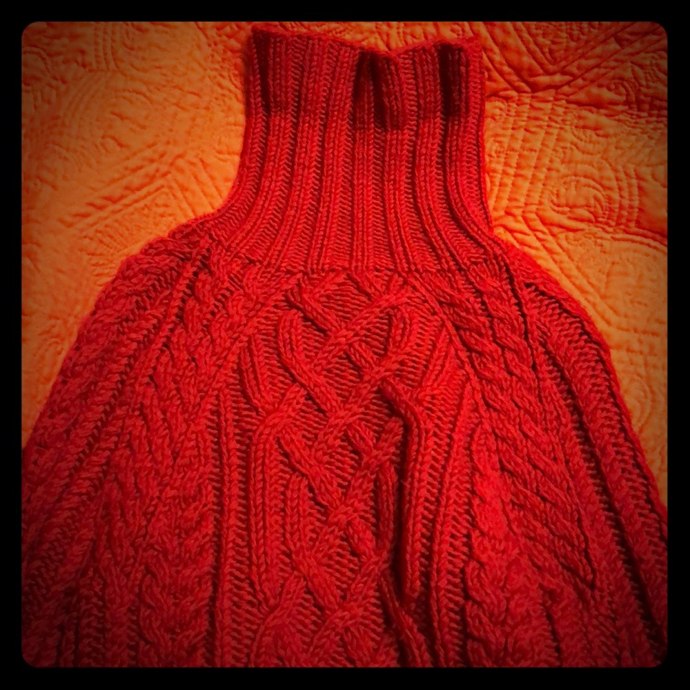 Fitted express turtleneck